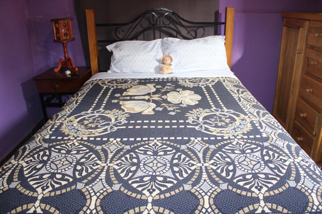 Casa Jardin Villa Гуанахуато Екстериор снимка